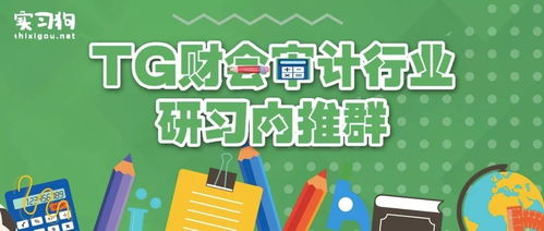 解锁职业新机遇 财会审计行业研习与内推指南